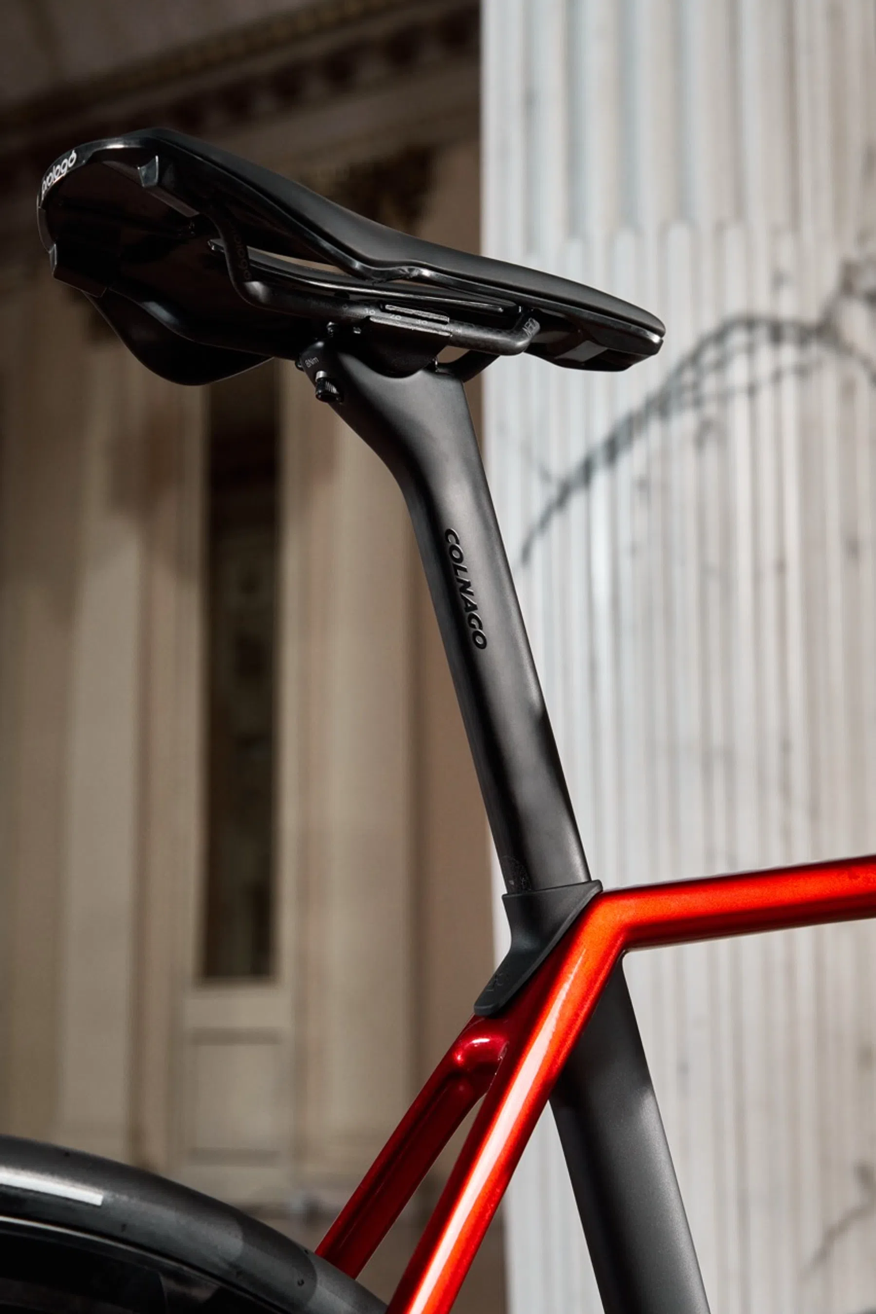 Colnago zadel